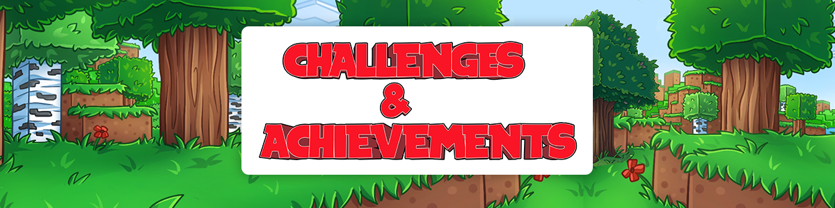 Challenges & Achievements